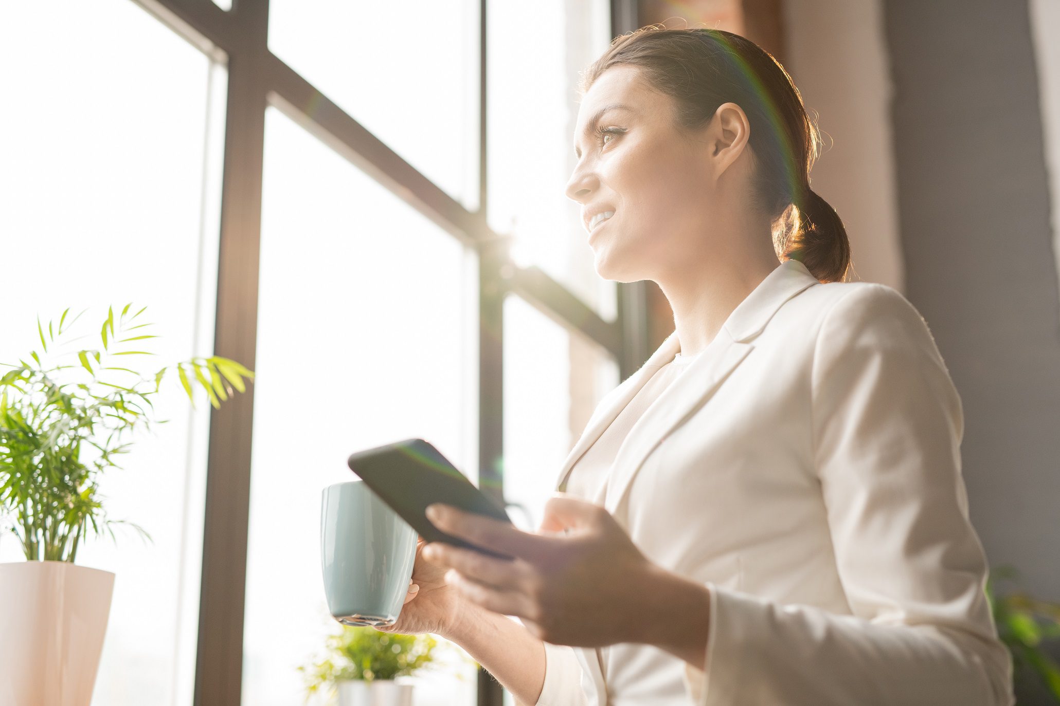 energy efficient window film sacramento