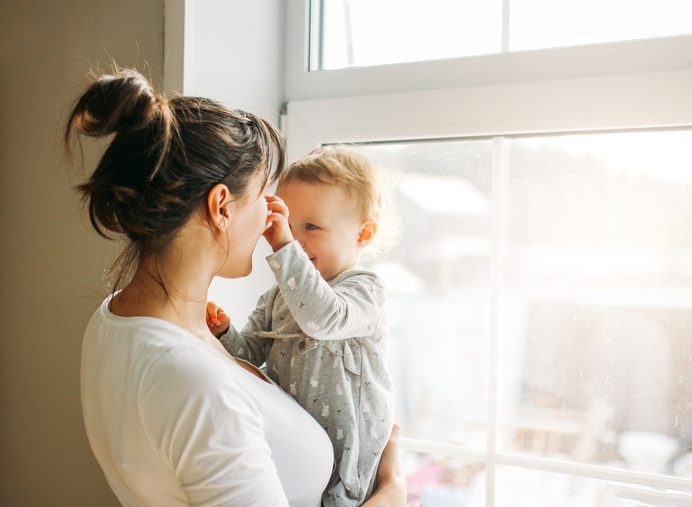 energy saving window tint sacramento